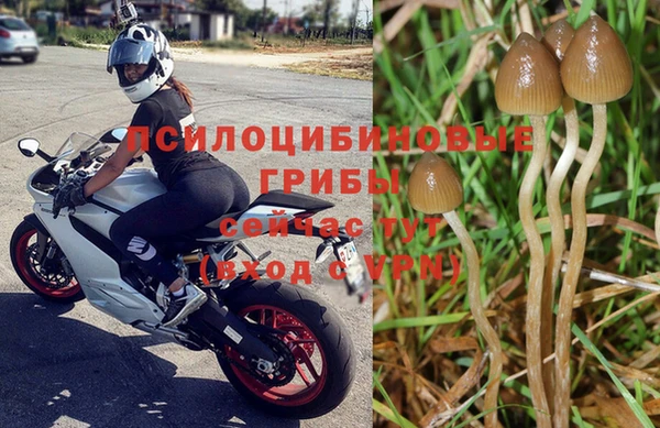 марки nbome Карталы