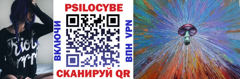 Купить где  Избербаш  Галлюциногенные грибы Psilocybine cubensis 